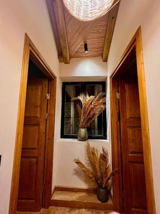 Villa Katoikia Patelia *